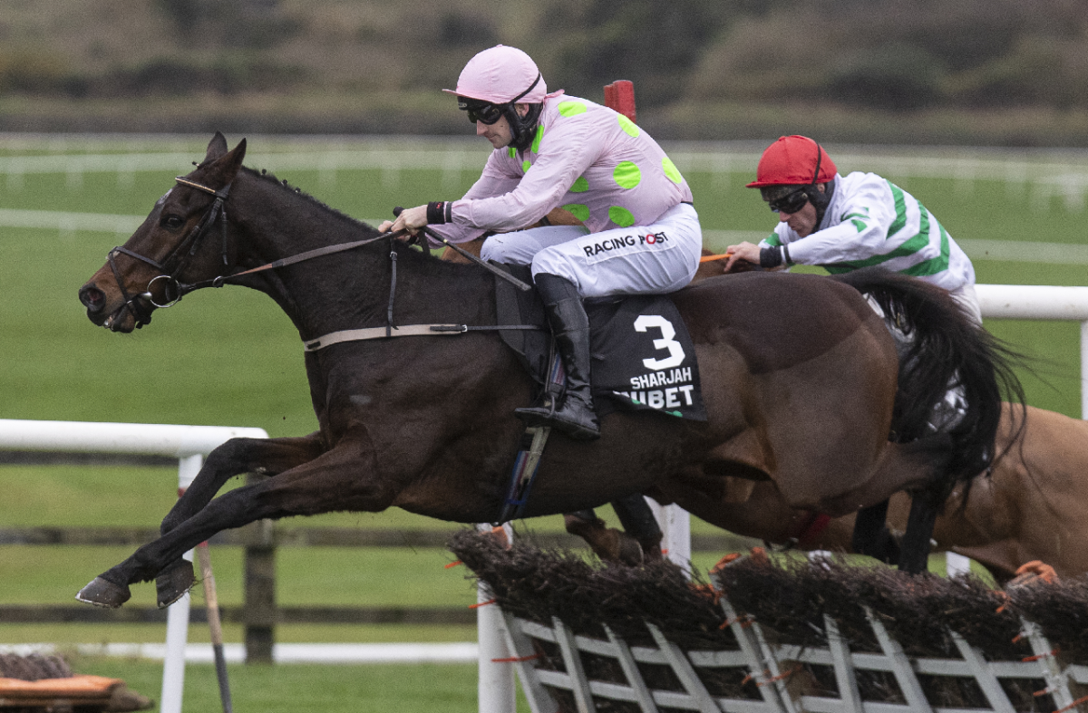 Leopardstown Christmas Festival Tips: Run Wild Fred worth a bet on Wednesday